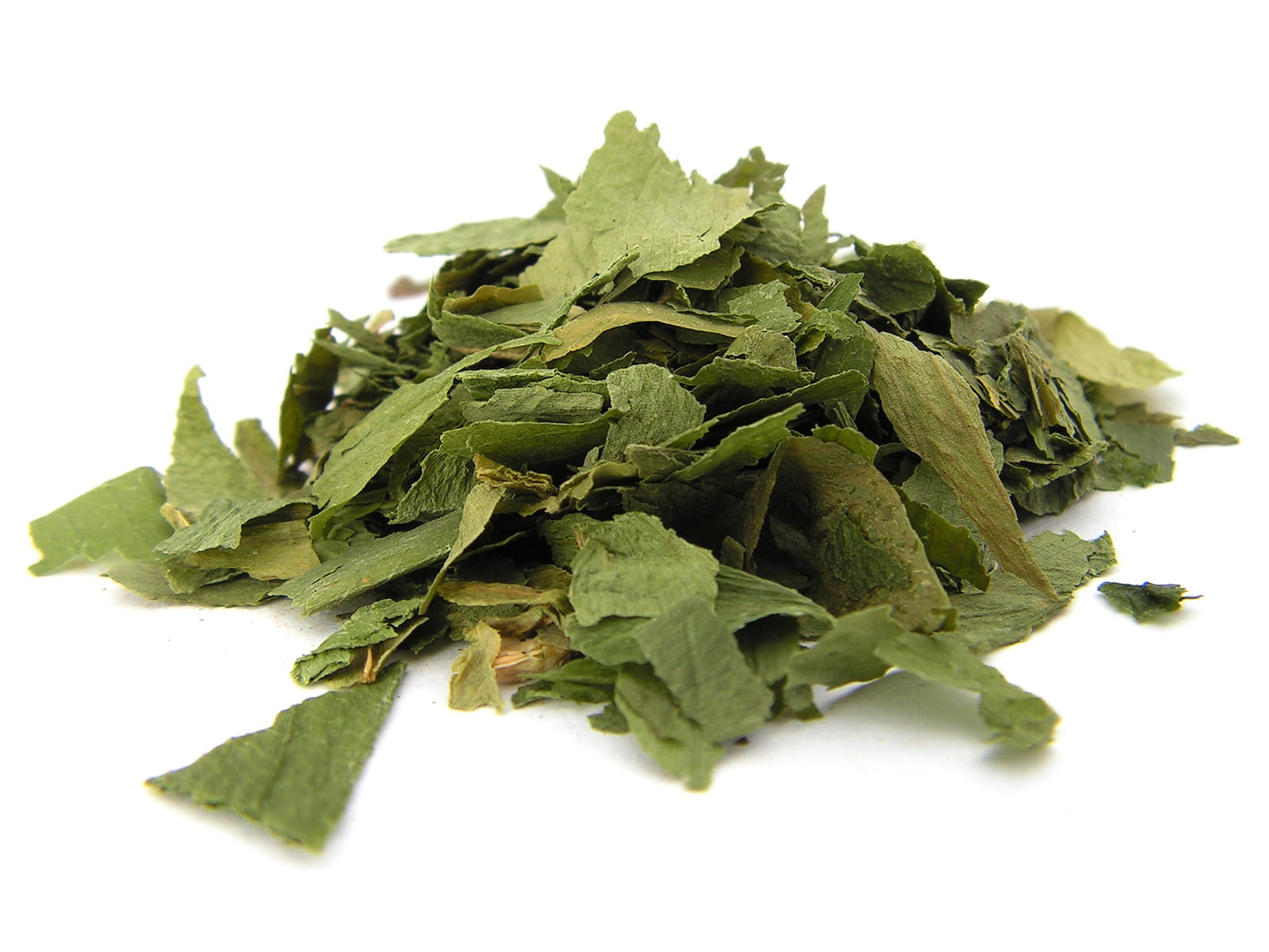 czosnek niedźwiedzi